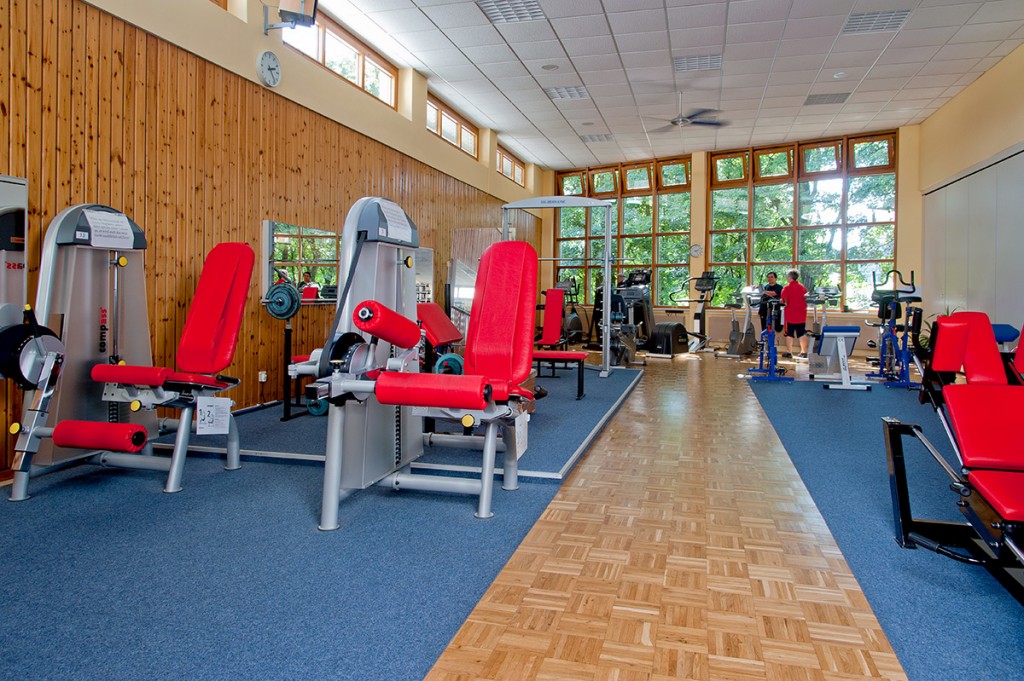 Ein Fitnessstudio mit Holzwand und großen Fenstern. Es gibt mehrere Trainingsgeräte mit roten Polstern und einen blauen Teppichboden. Zwei Personen sind im Hintergrund zu sehen.