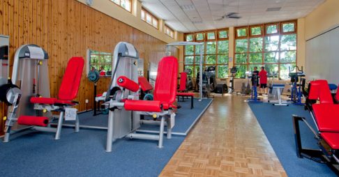 Ein Fitnessstudio mit verschiedenen Trainingsgeräten, darunter Maschinen mit roten Polstern. Der Raum hat Holzwände und große Fenster, die viel Licht hereinlassen.